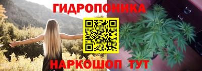 ALPHA PVP Кандалакша