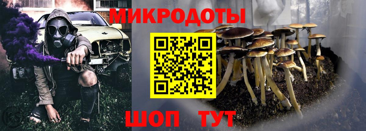 Сосновоборск  Галлюциногенные грибы мицелий  Вход с VPN 