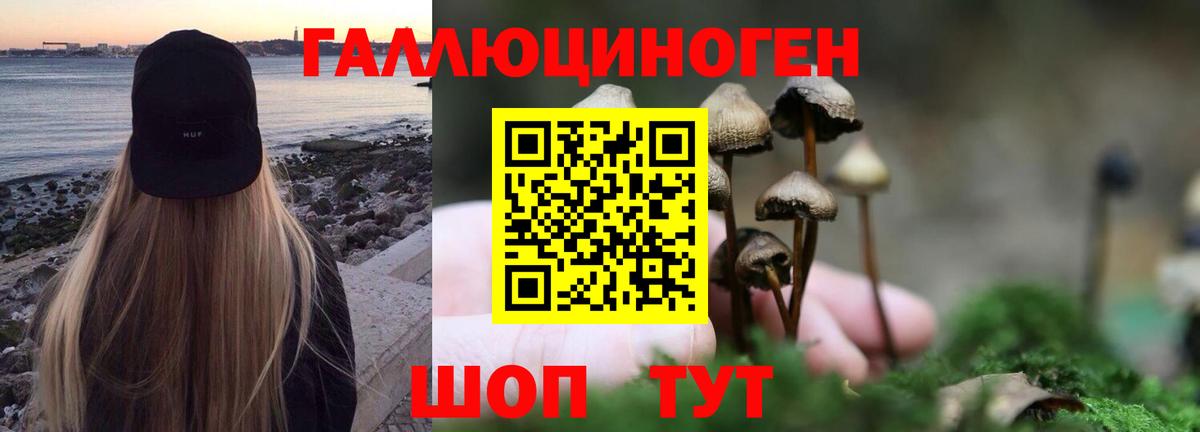Галлюциногенные грибы MAGIC MUSHROOMS Сосновоборск
